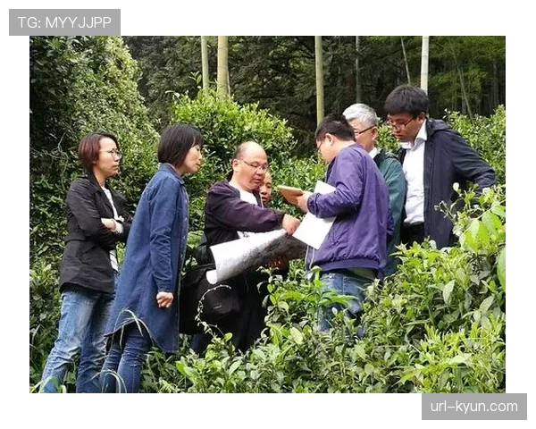 国际篮联考察团到访，评估CBA联赛为世界杯筹备工作